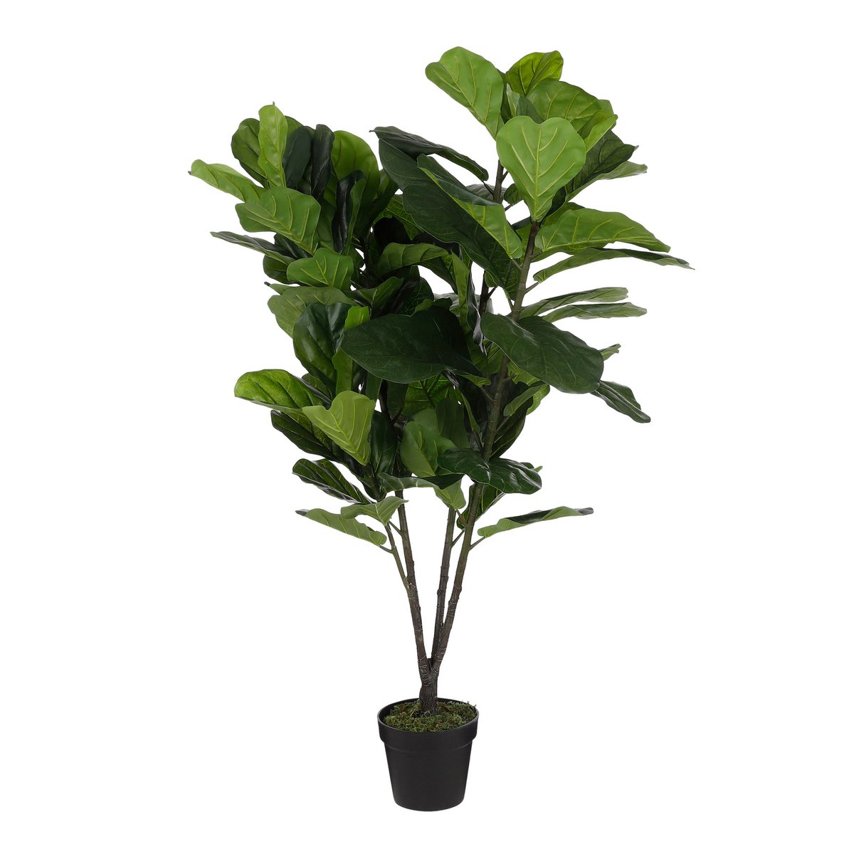 Künstliche Pflanze Ficus Lyrata – H150 x Ø80 cm – Grün