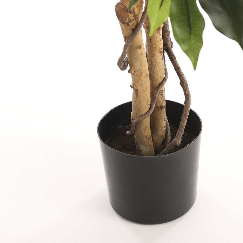 Künstliche Ficus-Pflanze – H110 x Ø65 cm – Grün