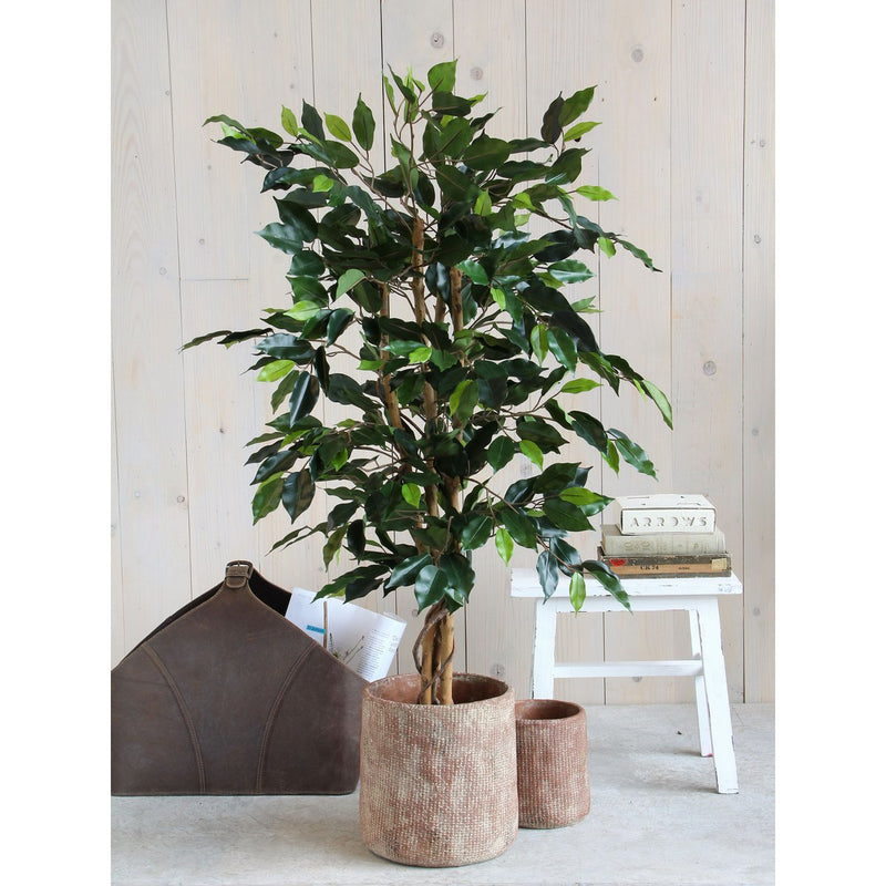 Artificial Ficus Plant - H110 x Ø65 cm - Green