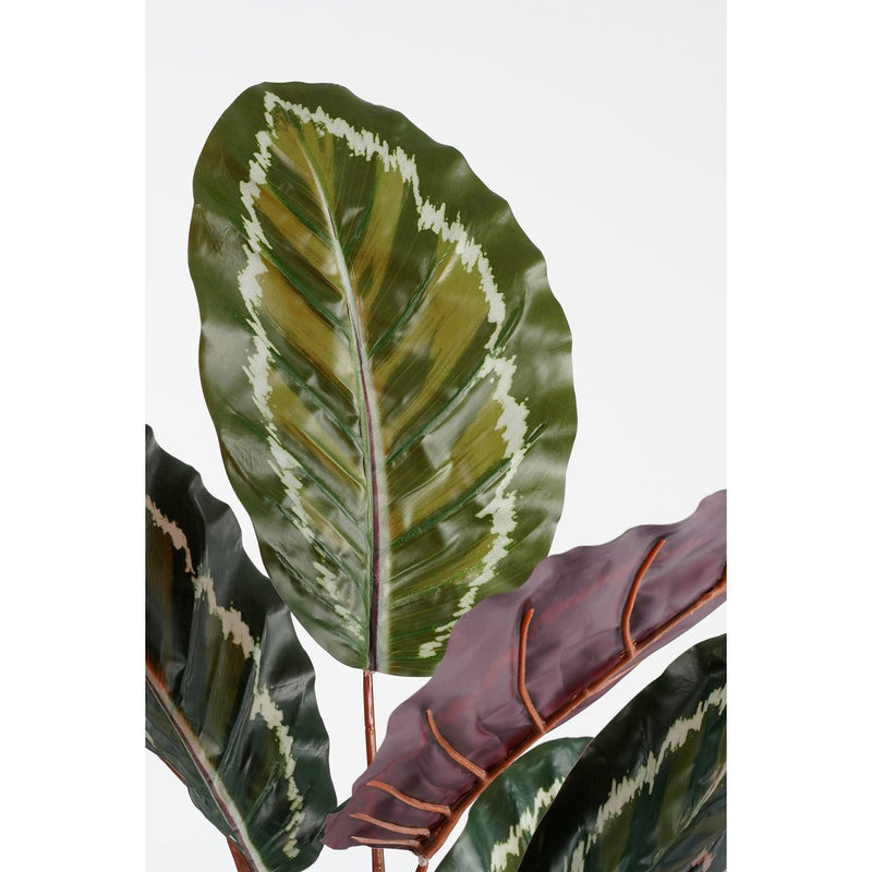 Künstliche Calathea Roseopicta-Pflanze – H90 x Ø60 cm – Grün 