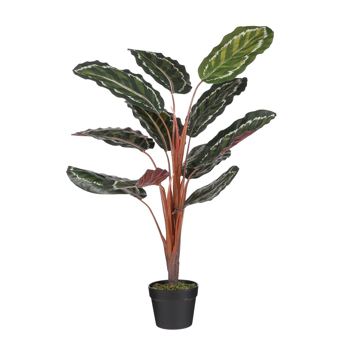 Künstliche Calathea Roseopicta-Pflanze – H90 x Ø60 cm – Grün 