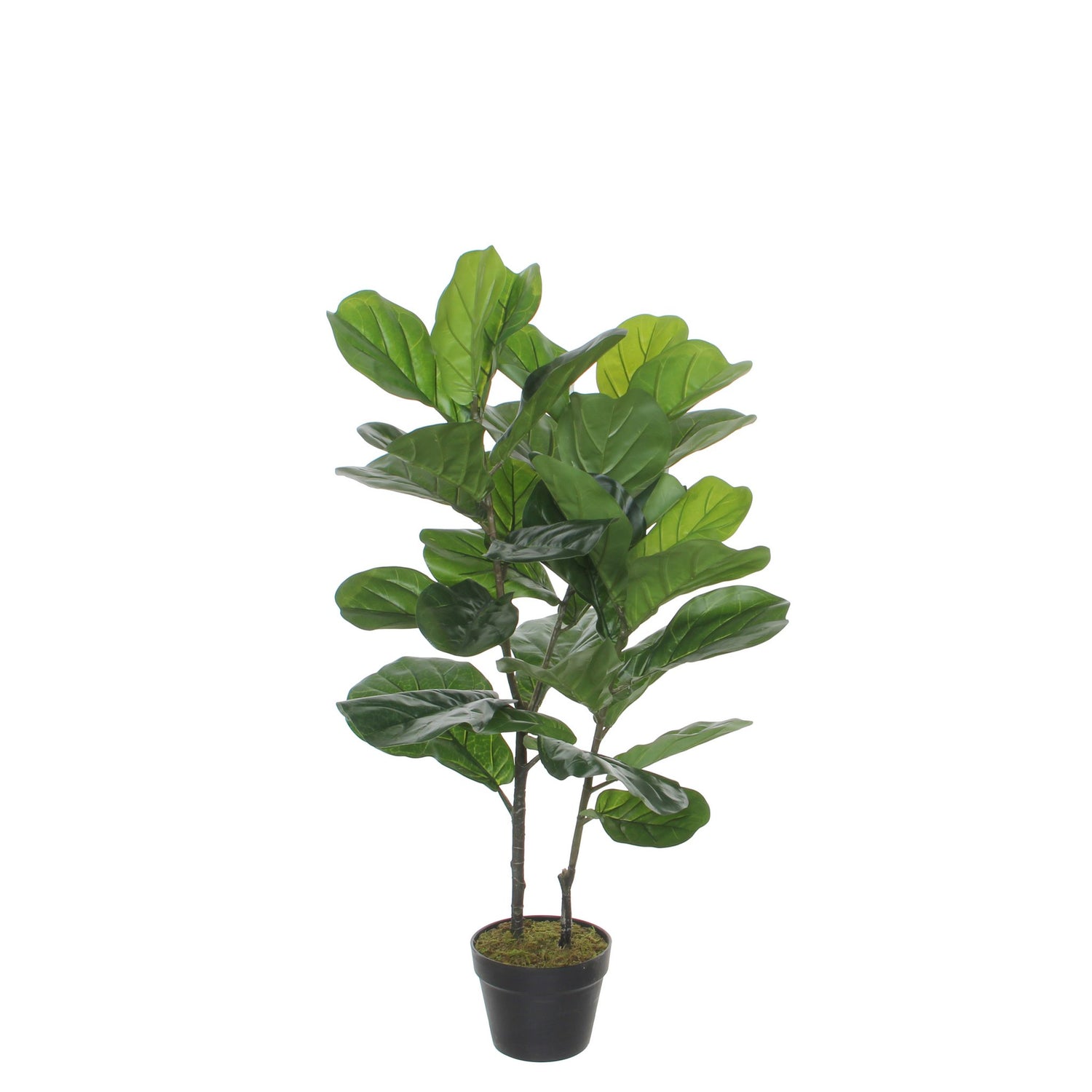 Ficus Lyrata Artificial Plant - H100 x Ø60 cm - Green