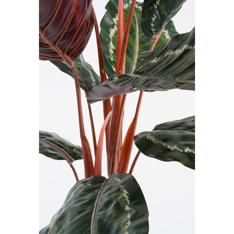 Künstliche Calathea Roseopicta-Pflanze – H90 x Ø60 cm – Grün 