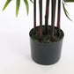 Artificial Bamboo Plant - H150 x Ø95 cm - Green