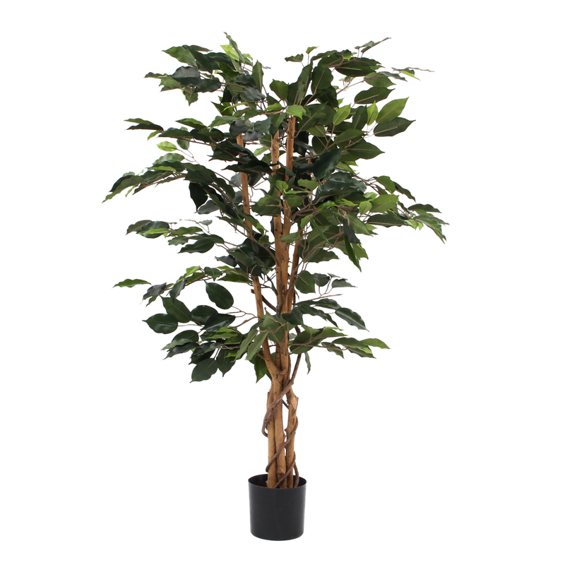 Künstliche Ficus-Pflanze – H110 x Ø65 cm – Grün