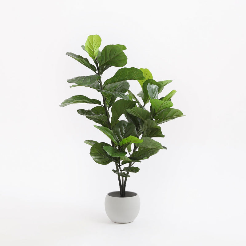 Ficus Lyrata Artificial Plant - H120 x Ø60 cm - Green